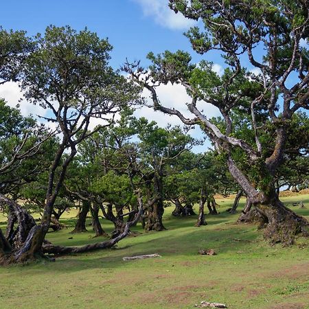 Villa Rosa Porto Moniz Dış mekan fotoğraf
